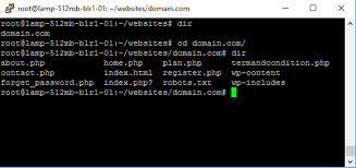This includes html, css, js and picture files. How To Recover Site For Wayback Machine Easily With Wayback Downloader