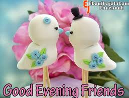 Good Evening Friends Wishes Love Bird Couple Picture For Facebook Love Birds Wedding Bird Wedding Whatsapp Dp Images