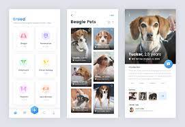 Limage Web App Design App Design Mobile App Design
