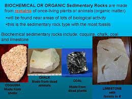 Types of organic sedimentary rocks. Sedimentary Rocks There Are 2 Ways Sedimentary Rocks