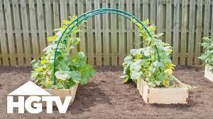 The prickly stems and leaves are neatly confined so you're less likely to scrape. Way To Grow Easy Pvc Garden Trellis Hgtv Youtube