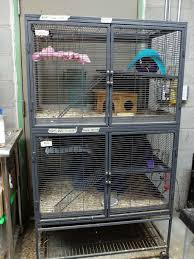 If you're looking for the best pet store, sitters4critters has partnered with pawtree. Furball Critters Visit By Appointment 145 Thin Edge Rd Santa Cruz Ca 95065 Usa