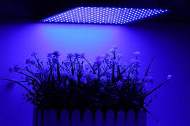 How far to place led lights from plants in each stage of growth. How Far Should Led Grow Lights Be From Plants