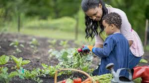 Liquid feeds also tend to keep the ph levels in your soil balanced. 5 Essential Tips For Vegetable Gardening In The Pacific Northwest Parentmap
