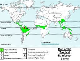 Living World 5 Rainforest 1 Clf Online Learning