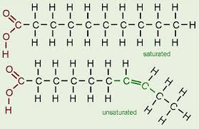 Image result for Fatty Acid