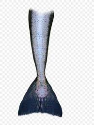There are 2586 mermaid tail drawing for sale on etsy, and they cost $2.90 on average. Mermaid Tail Drawing Siren Png 900x1200px Mermaid Aquamarine Brush Drawing Information Download Free