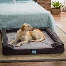 The best dog beds for large and small dogs, including cozy orthopedic beds for older dogs 10 best dog beds of 2021, according to pet experts. Sealy Lux Extra Large Memory Foam Pet Bed Overstock 9615030