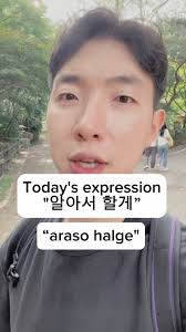 Learn Korean Sentences with Araso and Araseo: Meaning and Usage
