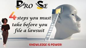4 Steps Pro Se Litigant Must Take...