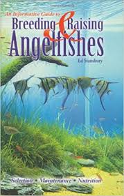 Breeding Raising Angelfishes Edward Stansbury