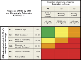 Kdoqi Clinical Practice Guideline For Vascular Access 2019 Update American Journal Of Kidney Diseases