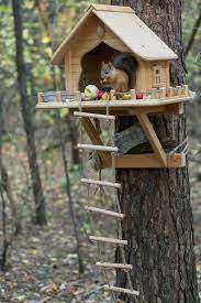 And after searching online for squirrel deterrents, sally, from ipswich, suffolk, found a. Wooden Squirrel Feeder Personalized Squirrel House Squirrel Etsy