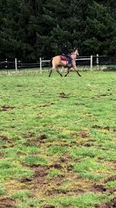 Mariah (@smart.seat)