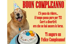 Buon complenno amico, sei ancora tanto giovane e molto piacente. Auguri Di Buon Compleanno Divertenti Per Un Amica