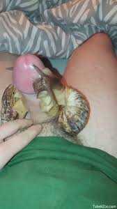 Dude gets his dick pleasured by several sexy snails
