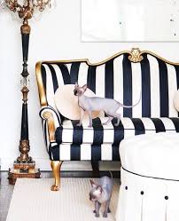 Black And White Couches Black And White Couch Old Hollywood Decor Hollywood Decor Striped Sofa