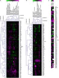 Check spelling or type a new query. Frontiers The Plant Cell Wall A Complex And Dynamic Structure As Revealed By The Responses Of Genes Under Stress Conditions Plant Science