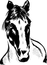 488 x 737 gif pixel. Kleurplaat Paardenhoofd Afbeeldingsresultaat Voor Paardenhoofd Tekening In Stappen 1024 X 1024 Jpg Pixel