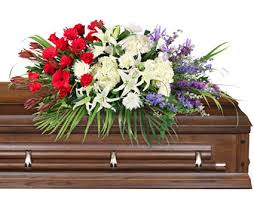 We did not find results for: Brave Soldier Casket Spray Flower Shop Network