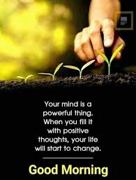 Pin On Good Morning Good morning images with quotes for whatsapp. pin on good morning