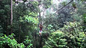 It is a flying fox game, just like riding a suspended roller coaster. Zip Line Flying Fox Places In Malaysia Travel Food Lifestyle Blog