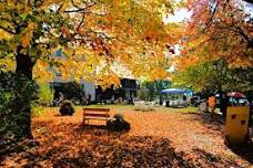 Fall Fest