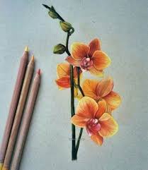 51 Trendy Flowers Drawing Pencil Colour Artsy Stuff Artsy Colour Drawing Flowers Pencil Stuff Buntstiftzeichnungen Blumenzeichnung Blumen Zeichnung