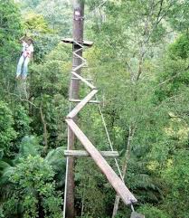 Thx ❤ like, comment and subscribe for more of my music! The Plank Challenge Picture Of Skytrex Adventure Shah Alam Tripadvisor