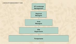 Organization Chart Aaa Landscape