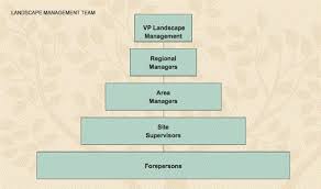 organization chart aaa landscape