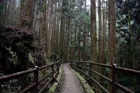 山行者秘境 從踏青散步到百岳攻頂 台灣14條經典登山路線 every little d country roads formosa outdoor