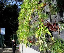Artificial plant wall plant wall fake plant wall plastic plant wall wall plant pots wall planting system artificial plants jungle wall indoor artificial plant wall panel moth killer verticle planter multi plant stand vertical greening plant pot wall more. An Expert S Guide To Planting Your Own Green Living Wall