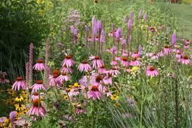 Grow low maintenance plants that don't need deadheading, pruning and shearing quite often. Garden Design Tips