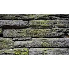 We did not find results for: Biggies 120 In X 60 In Plastic Window Well Scene Rock Ww Rck 120 The Home Depot