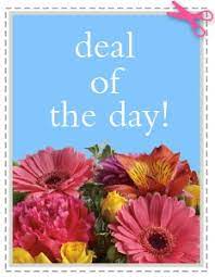 Link your store loyalty cards, add coupons, then shop and save. Deal Of The Day By Flowers By Jennie Lynne