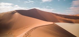 Here are 10 namibian … Namibia Africa Namib Desert Etosha National Park