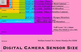 Sensor Size Chart Saferbrowser Yahoo Image Search Results