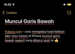 Cara Menghilangkan Ejaan di Keyboard iPhone | PUKEVA