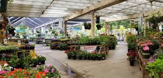 Sloat Garden Center 700 Sir Francis Drake Blvd Kentfield Ca Nurseries Mapquest Garden Center Garden Harvest Garden