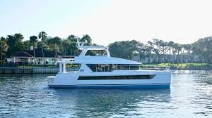 Image result for Power Tan 2025 Fleet