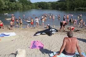 Check spelling or type a new query. Stat Chysta Rekreacni Poukazky Po Vzoru Slovenska Maji Pomoci Hotelierum I Ekonomice Aktualne Cz