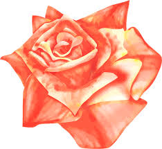 Includes lillian's flowers reviews, maps & directions to lillian's flowers in. Lillian S Flowers Omaha Ne 3521 Leavenworth St Florists Flower Delivery