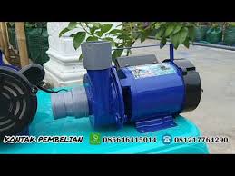 Pin Di Pompa Air Kolam Ikan Lele