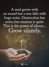 Work Hard In Silence Let Your Success Be The Noise Meaning In Hindi Silence Quotes A Seed Grows With No Sound But A Tree Falls With Huge Noise Destruction Has Noise But Creation It Silence Quotes Wise Words Quotes Life Quotes