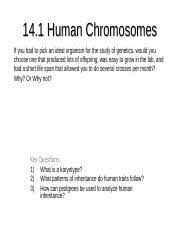 Now is the time to make today the first day of the rest of your life. 14 1 Notes 14 1 Human Chromosomes If You Had To Pick An Ideal Organism For The Study Of Genetics Would You Choose One That Produced Lots Of Offspring Course Hero