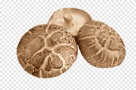 1 pound baby bella mushrooms, sliced. Three Brown Mushrooms Shiitake Chinese Cuisine Tempura Vegetable Mushroom Free Mushrooms Pull Material Free Logo Design Template Food Png Pngegg