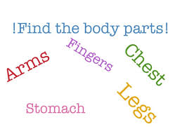 While your chest is built from two big muscles (pectoralis minor and major), you can target these parts with different chest workouts. Find The Body Parts Free Games Online For Kids In Kindergarten By Inayah Amir