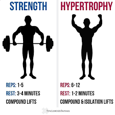 Pin On Gym Training Guides And Workout Plans