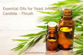 Essential Oils For Yeast Infection Candida Thrush In 2020 Essential Oils For Candida Yeast Infection Essential Oils